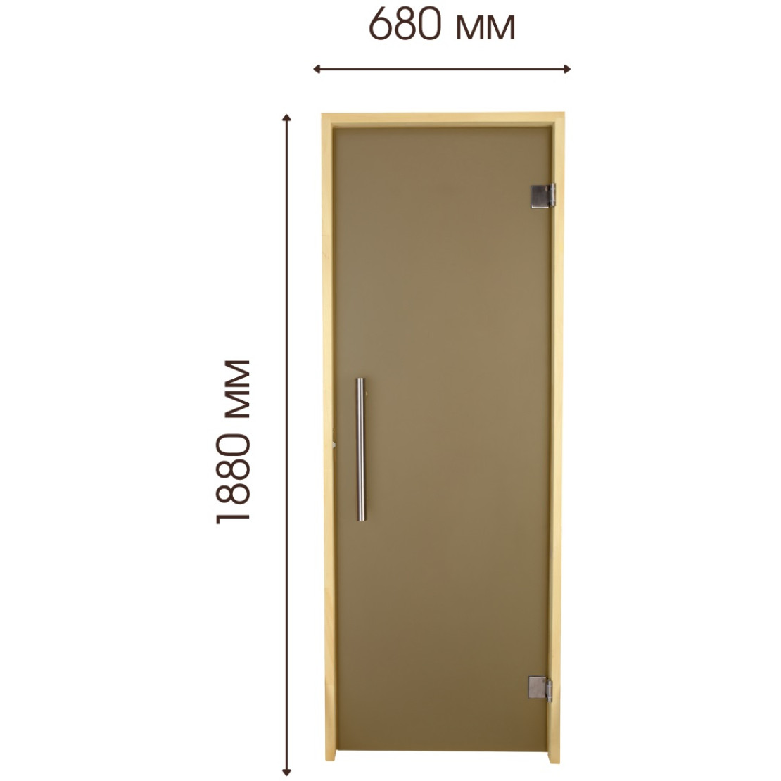 Door for baths and saunas Tesli Steel 1900х700