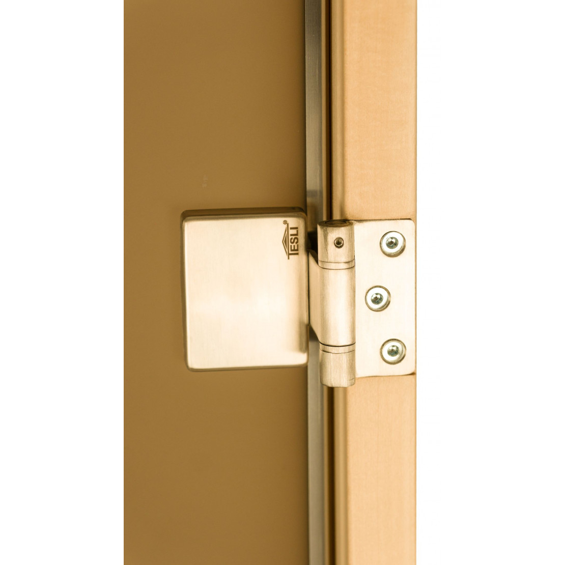 Door for bath and sauna Tesli Lux Magnetic Sateen 2000х800