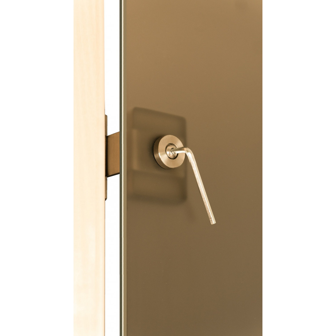 Дверь для бани и сауны Tesli Steel Magnetic 1900х700