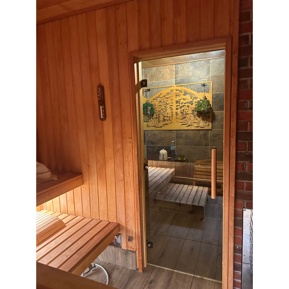 Door for baths and saunas Tesli Steel 1900х700