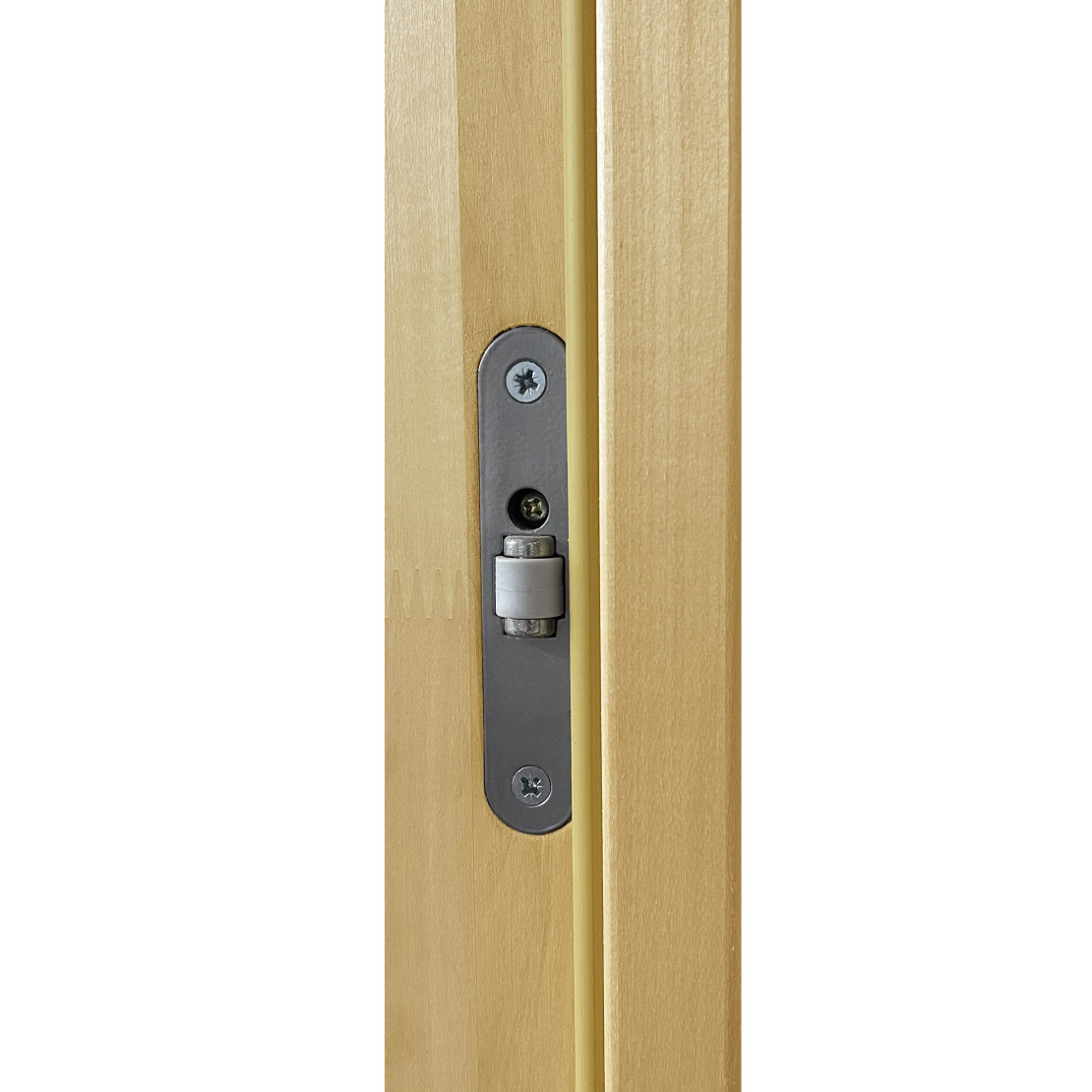Door for baths and saunas Tesli Steel 1900х700
