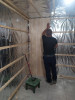 Foil for baths and saunas