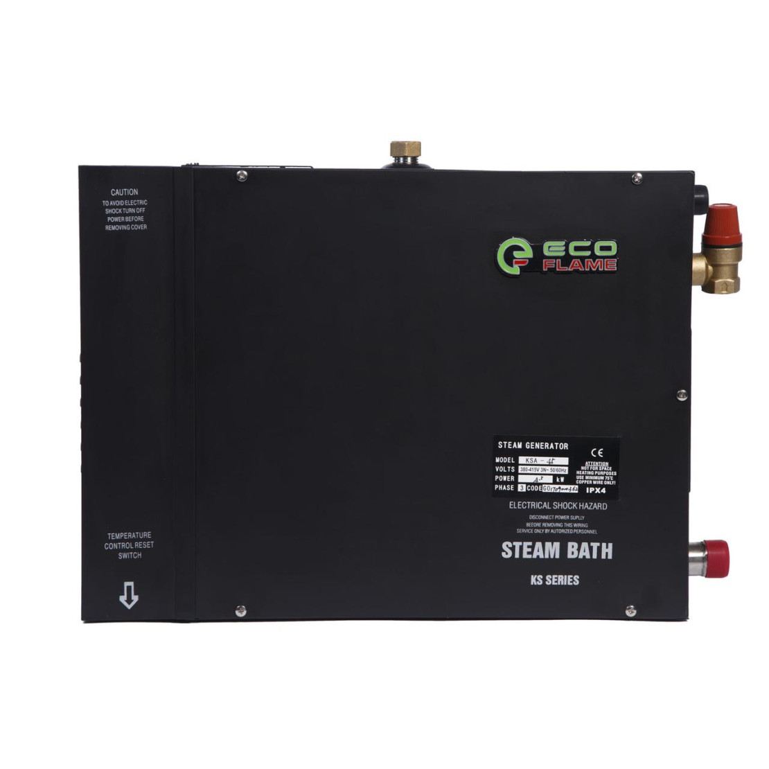 EcoFlame KSA60 steam generator 6 kW with remote control