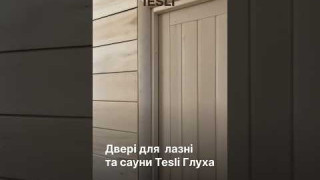 Двері для лазні та сауни Tesli Глуха 1900х700