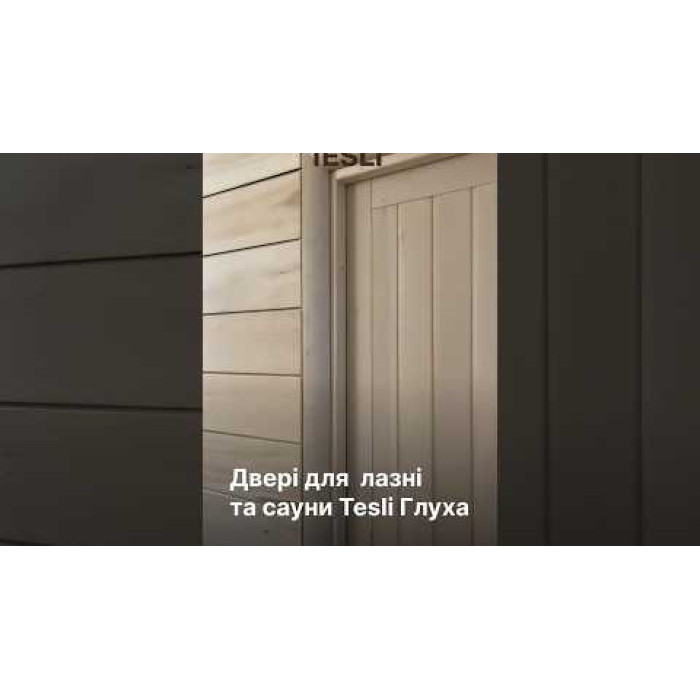 Двері для лазні та сауни Tesli Глуха 1900х700